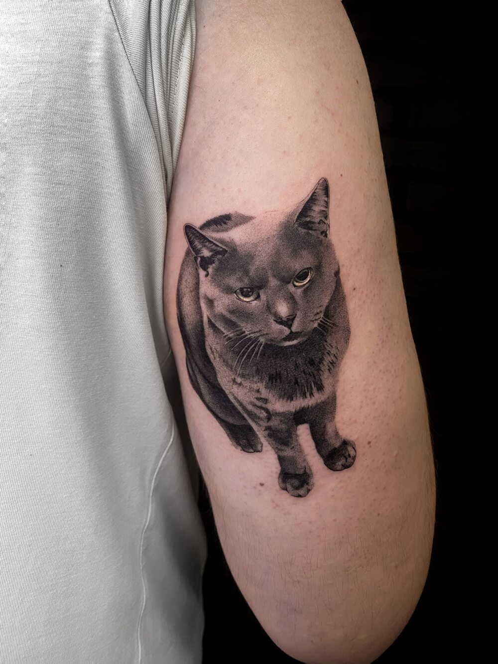 Pisică Realism tatuaj Bucuresti Ace Tattoo