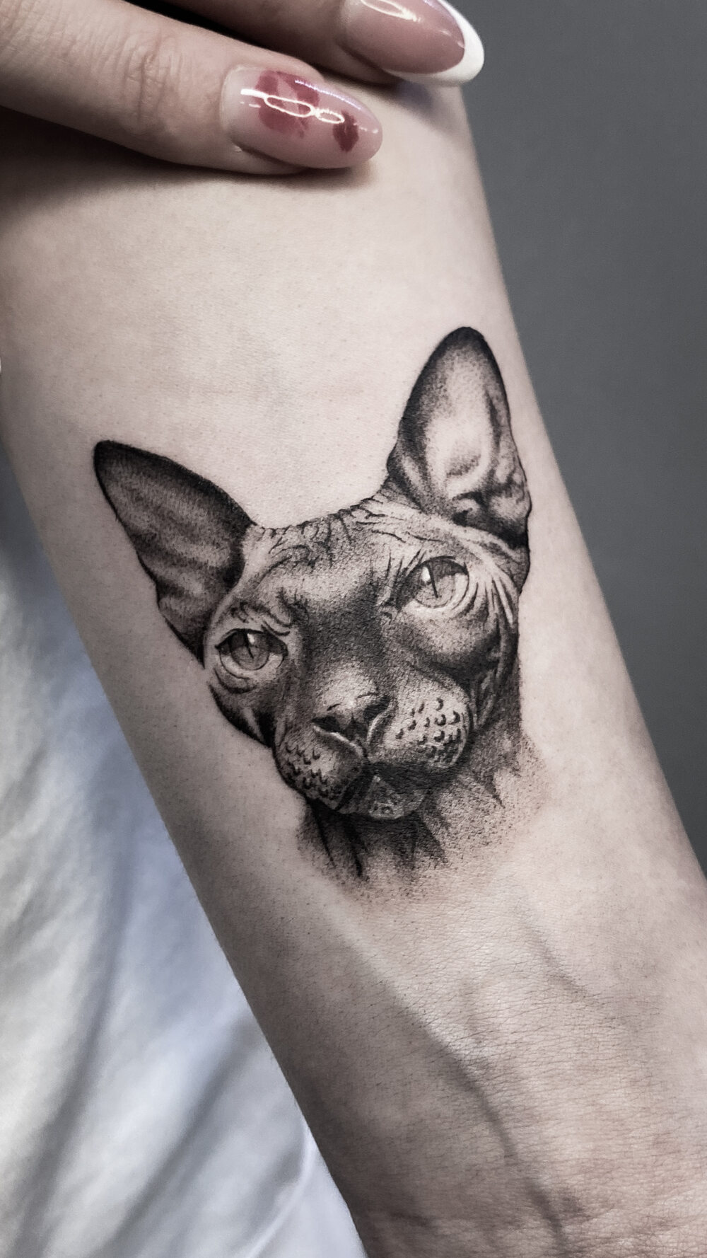 Sfinx Realism tatuaj Bucuresti Ace Tattoo