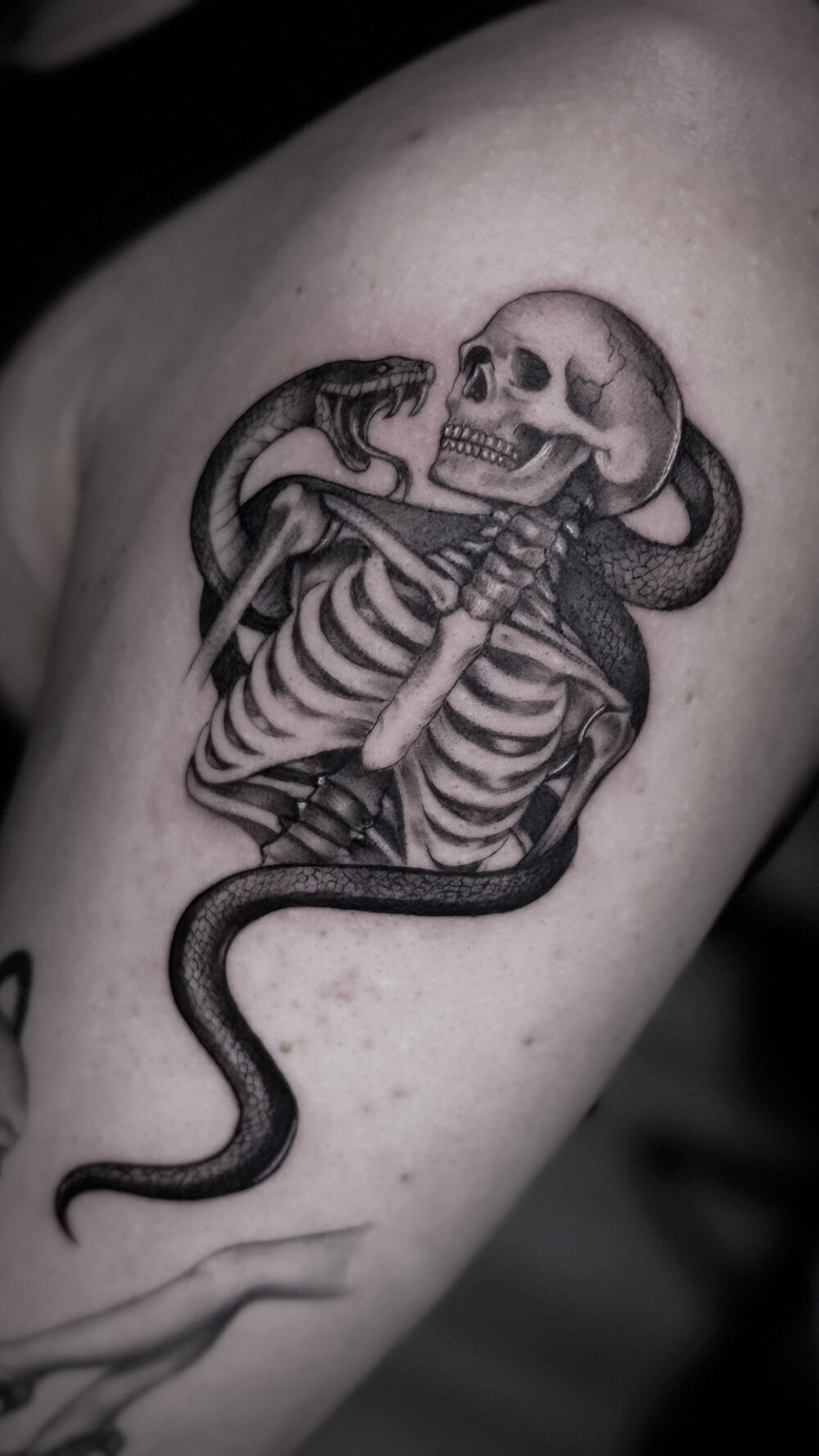 Schelet Fine line tatuaj Bucuresti Ace Tattoo